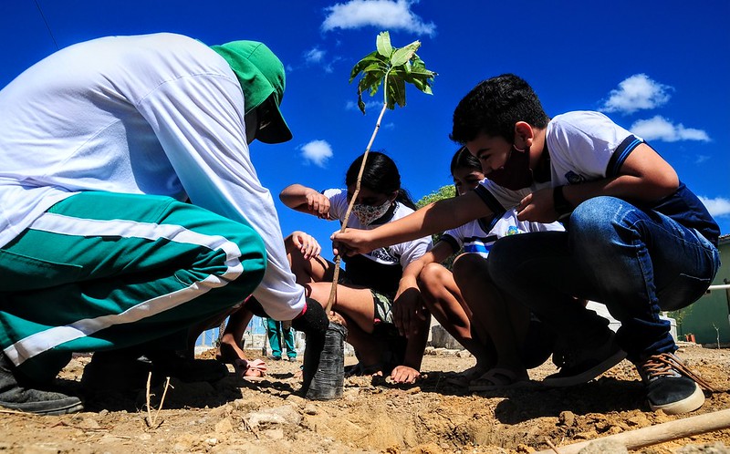 Comunidade rural Independência recebe programa “Mossoró Verde” no próximo sábado