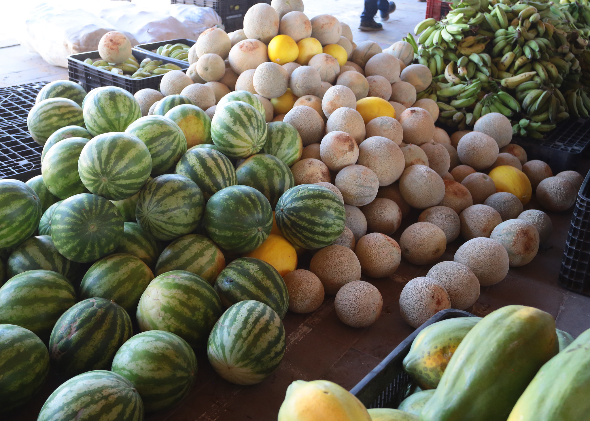 Alimentos da agricultura familiar são distribuídos a famílias de alunos da rede municipal