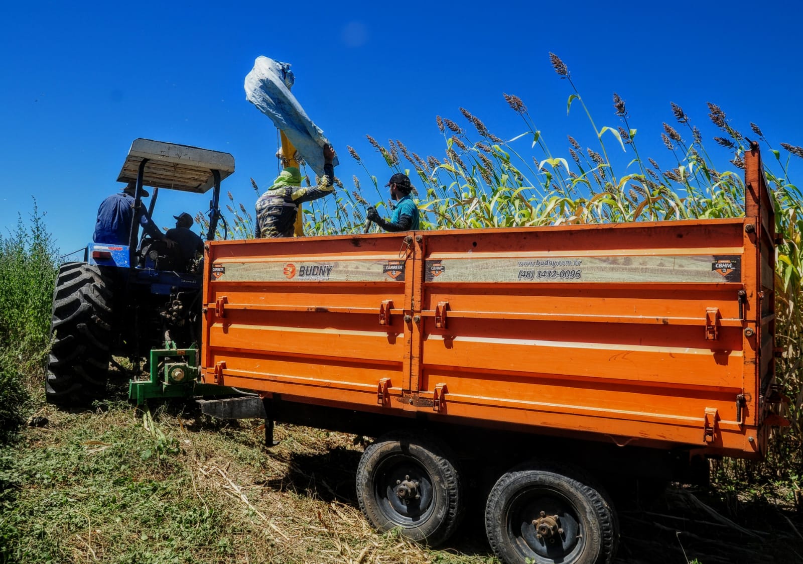 Mossoró Forragem produz em torno de duas mil toneladas de silagem