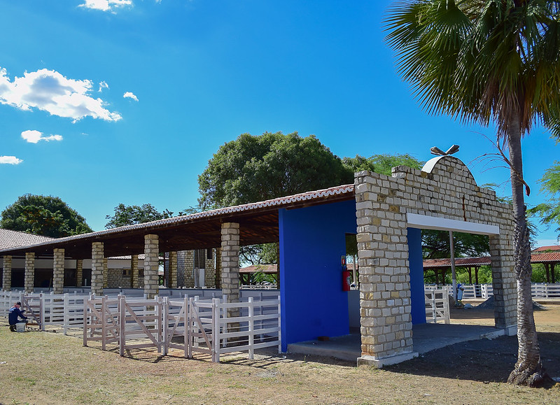 Mais de mil animais são esperados nesta quarta-feira no Parque Armando Buá