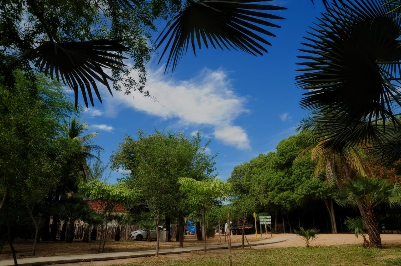 Parque Municipal contará com ações do “Setembro Amarelo”