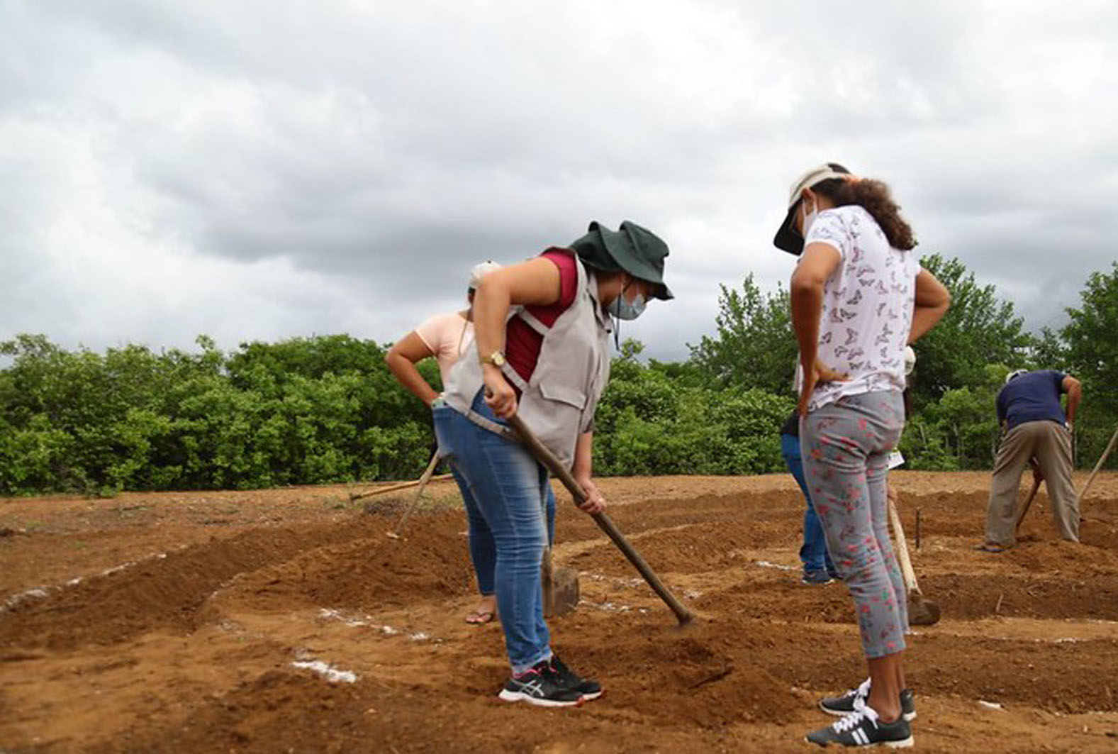 Curso técnico em Agricultura está com inscrições abertas