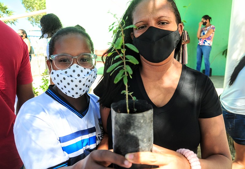 “Mossoró Verde” promoverá palestra sobre arborização no bairro Barrocas