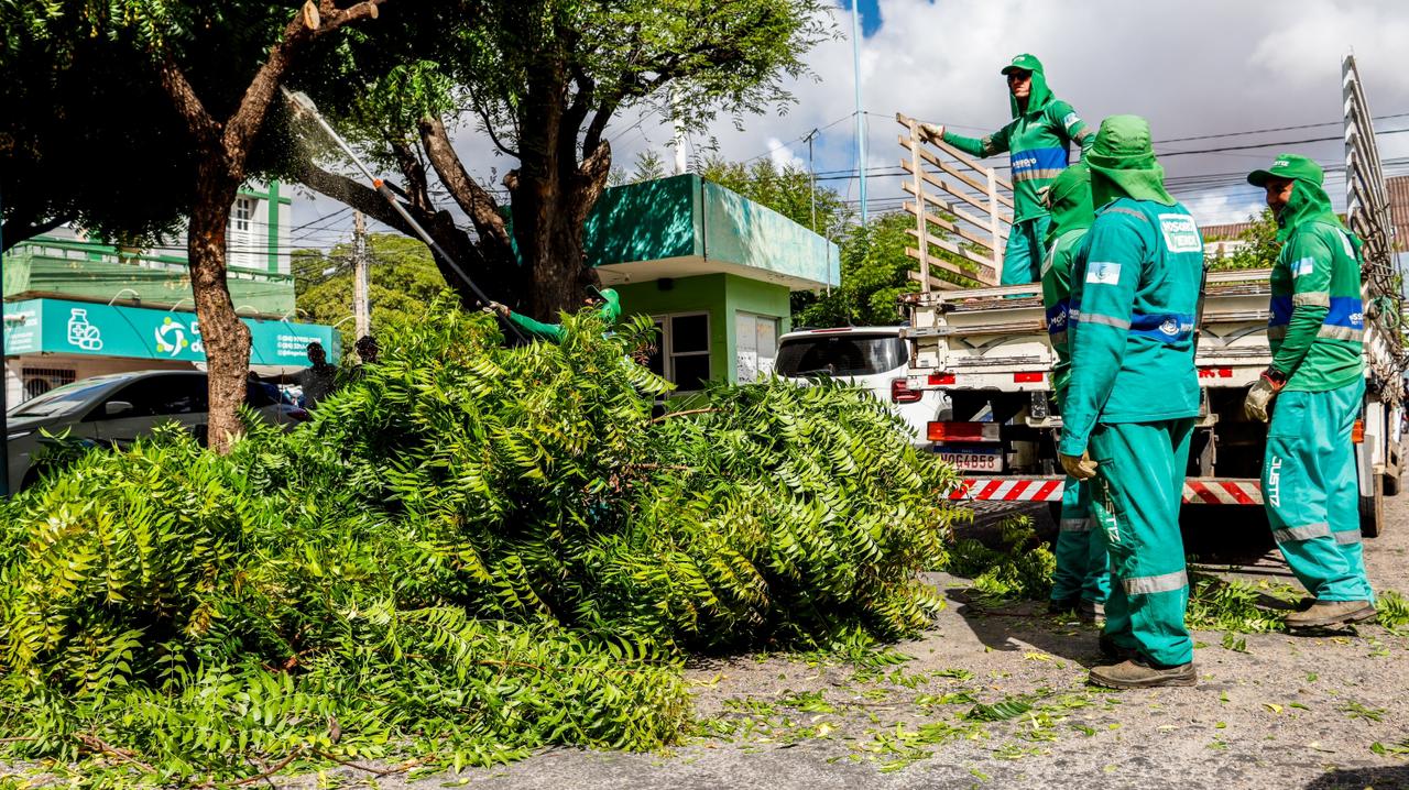 Prefeitura realiza serviço de poda e varrição na lateral da Catedral para realocação temporária de ambulantes