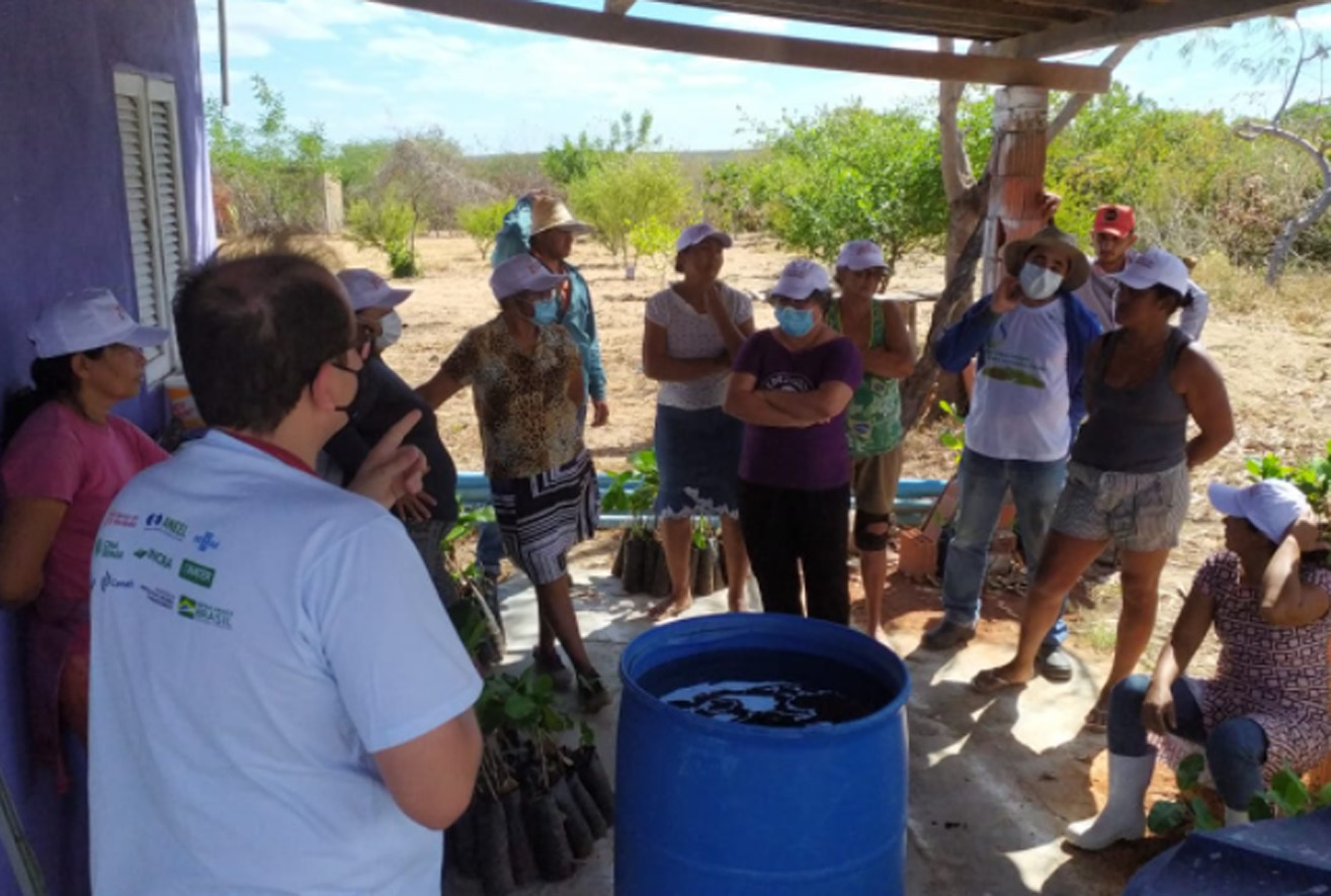 Dia de campo planta mais de 250 mudas de caju na comunidade Mulunguzinho