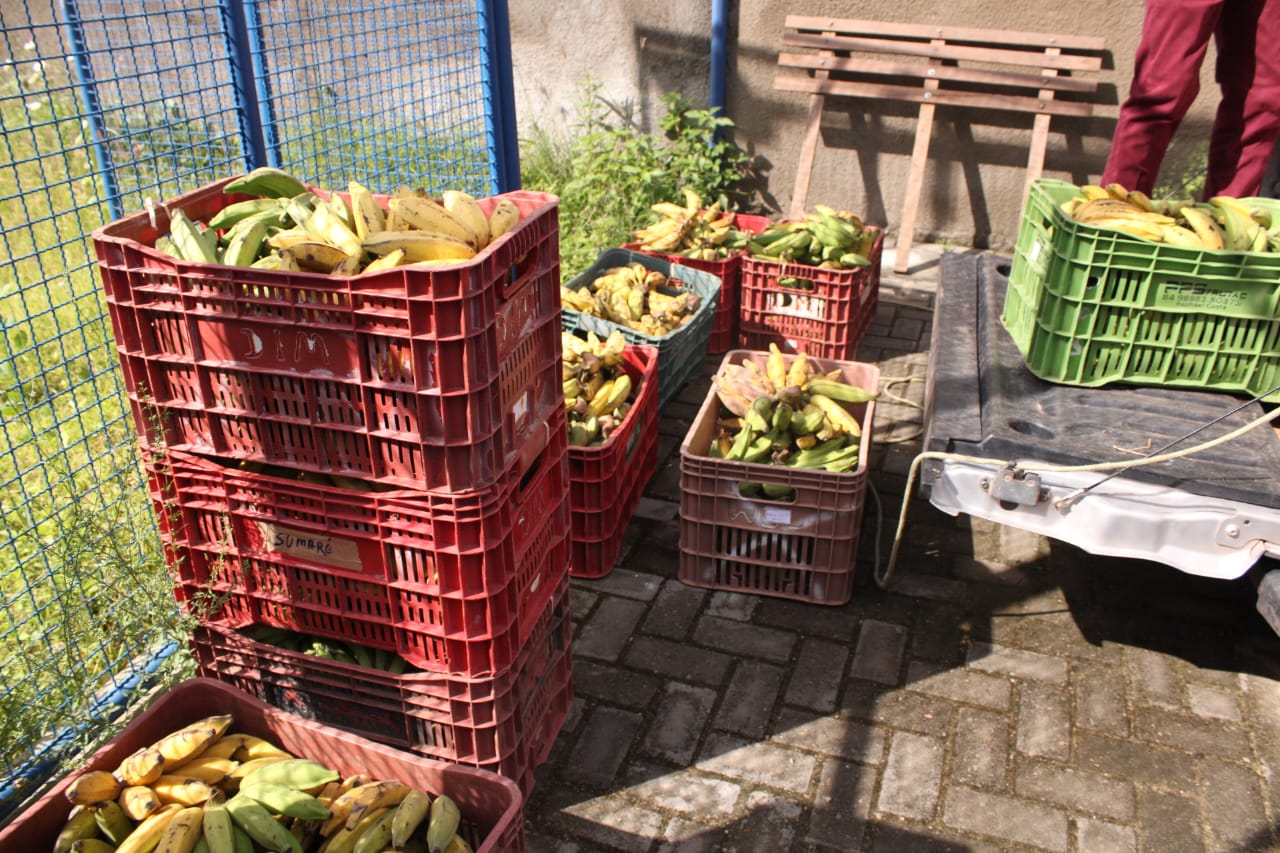 Segunda etapa do PAA distribui mais de 6 toneladas de produtos da agricultura familiar para equipamentos sociais