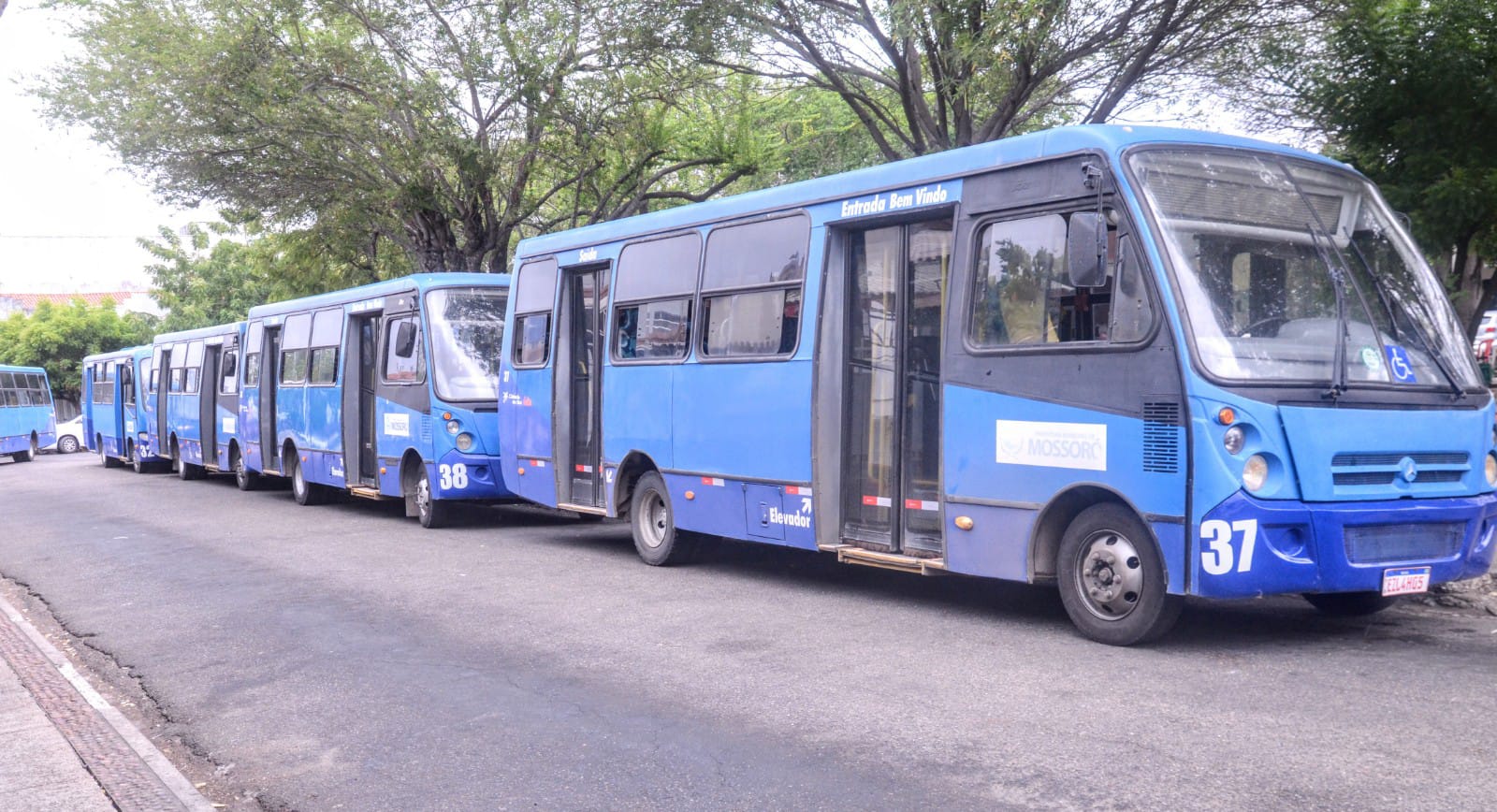 Transporte público funcionará com horário especial e tarifa reduzida durante a Procissão de Santa Luzia