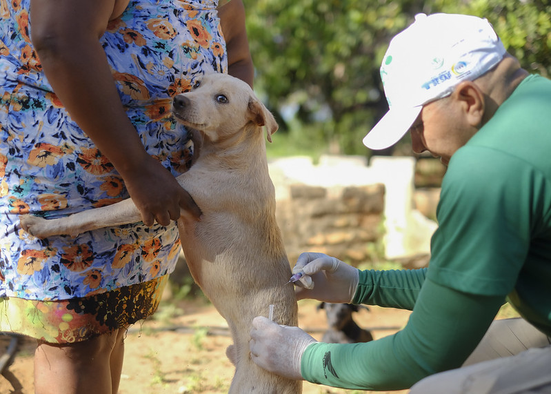 Vacinação contra a raiva na zona rural começará pelo polo Maísa na próxima semana