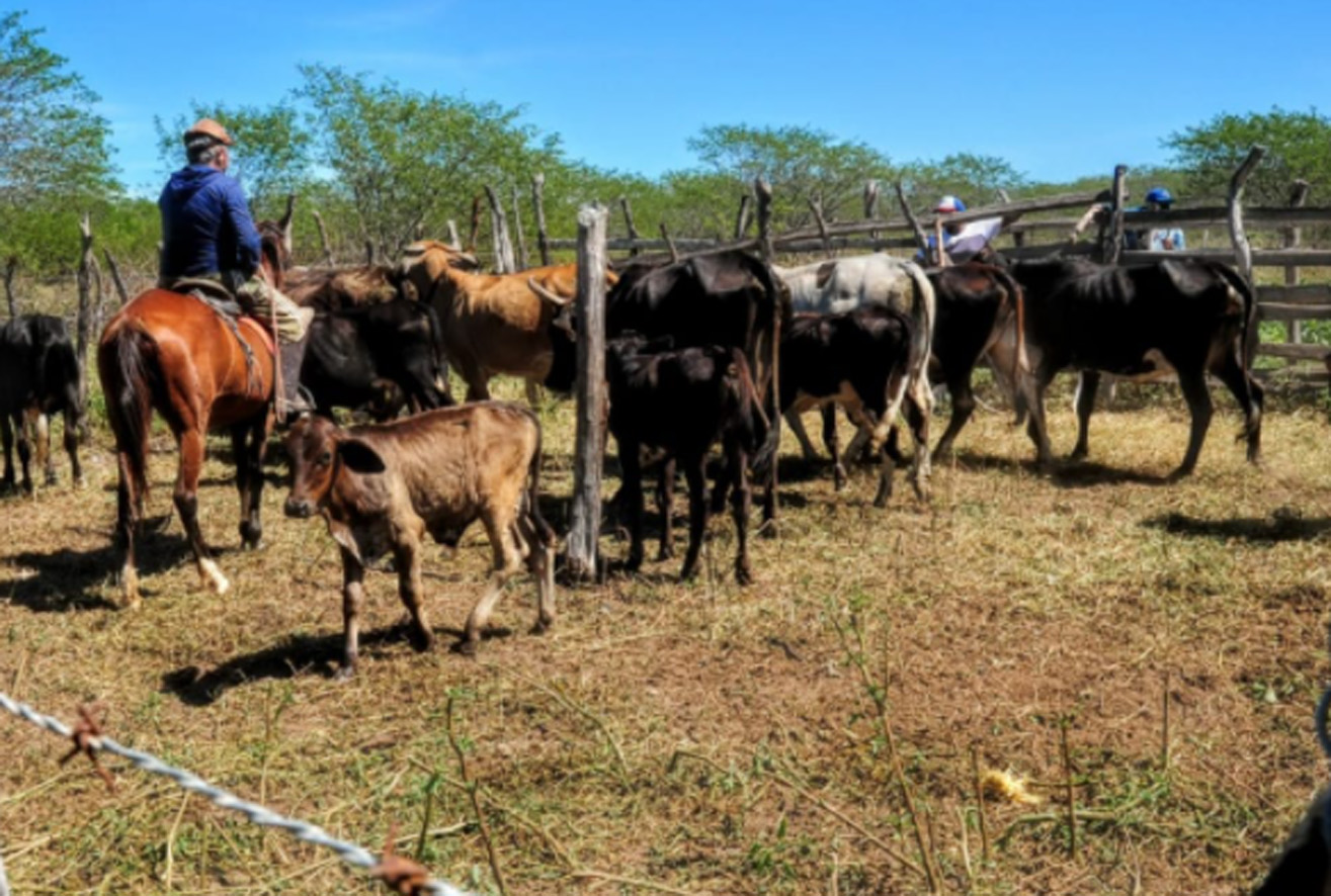 Secretaria de Agricultura divulga balanço de ações no mês de junho