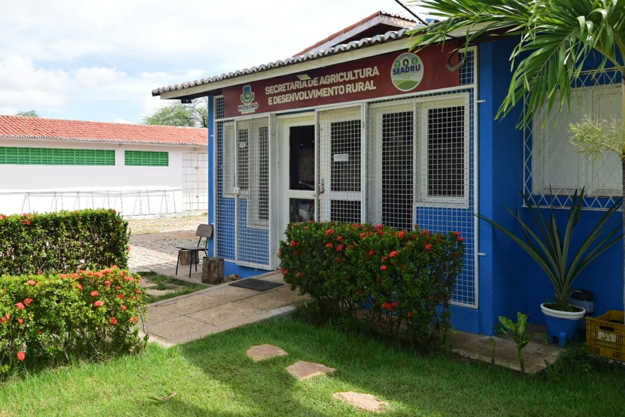 “Mossoró Forragem”: agricultores mossoroenses recebem mudas de capim-elefante BRS Capiaçu