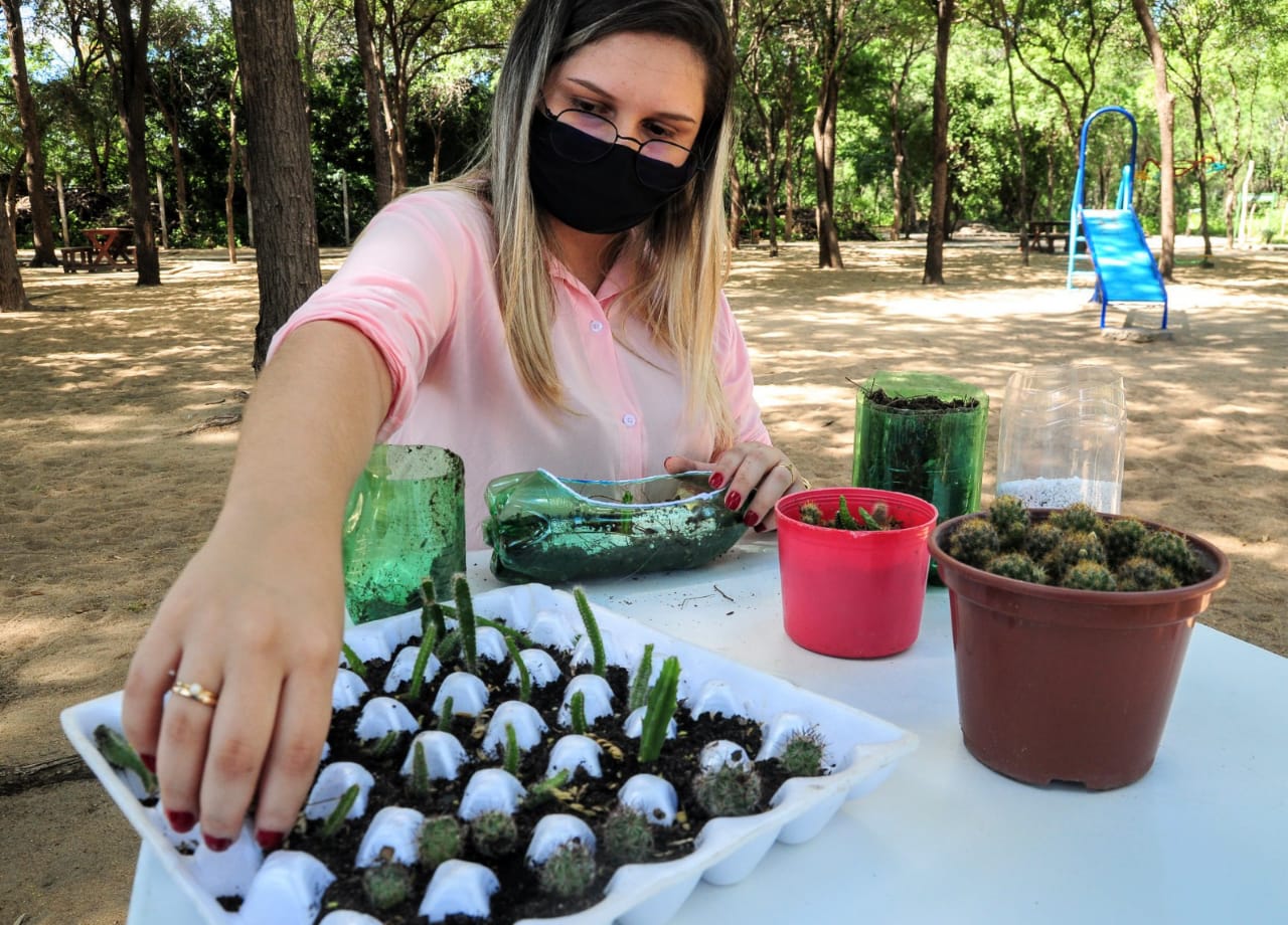 Oficina ensina na prática cultivo e manejo de cactos