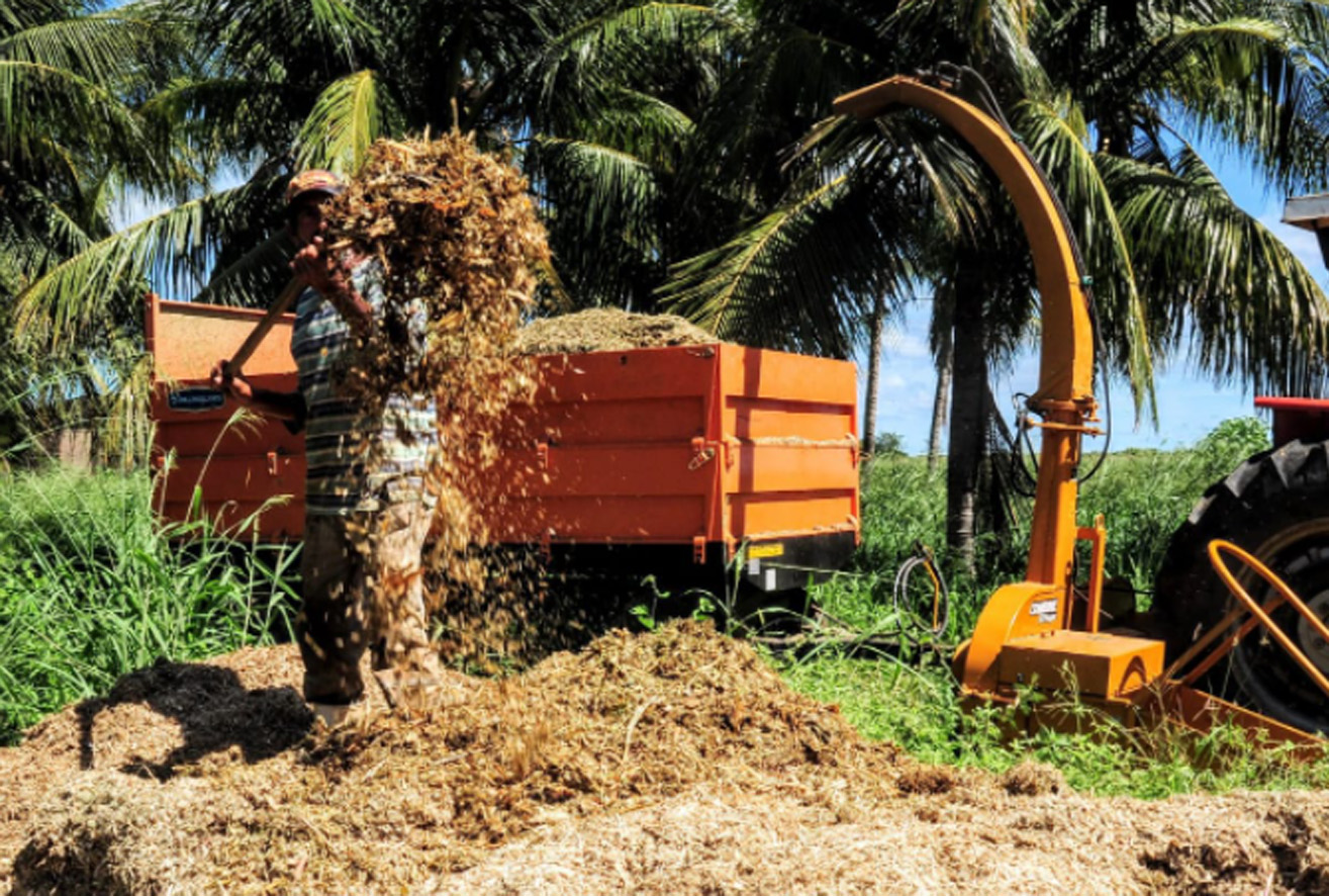 Mossoró Forragem incentiva produção de silagem e feno para agricultura familiar