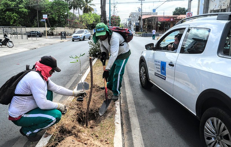 “Mossoró Verde” realiza ações de plantio e oficinas formativas