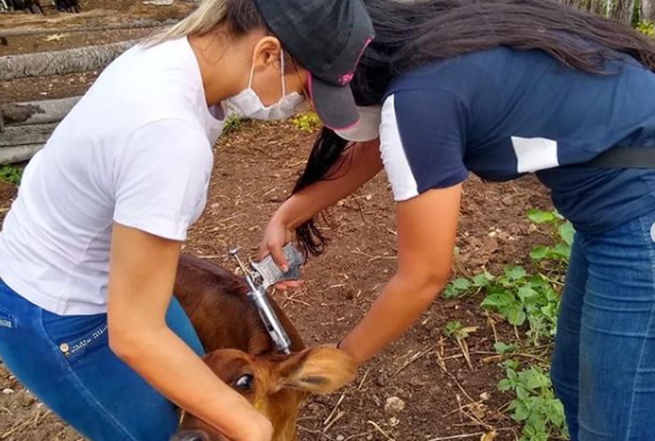 Secretaria de Agricultura divulga resumo semanal de atividades