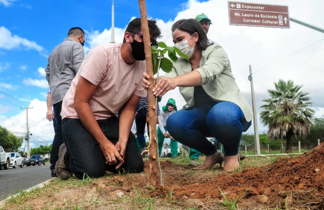 “Mossoró Verde”: Ações de plantio são realizadas em avenidas de acesso à Uern e Ufersa