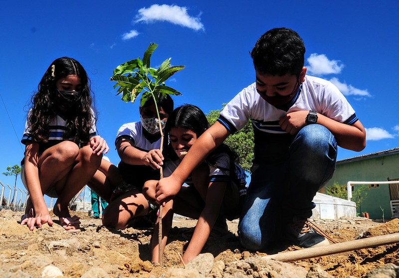 "Mossoró Verde" inicia ações de plantio e distribuição de mudas na zona rural