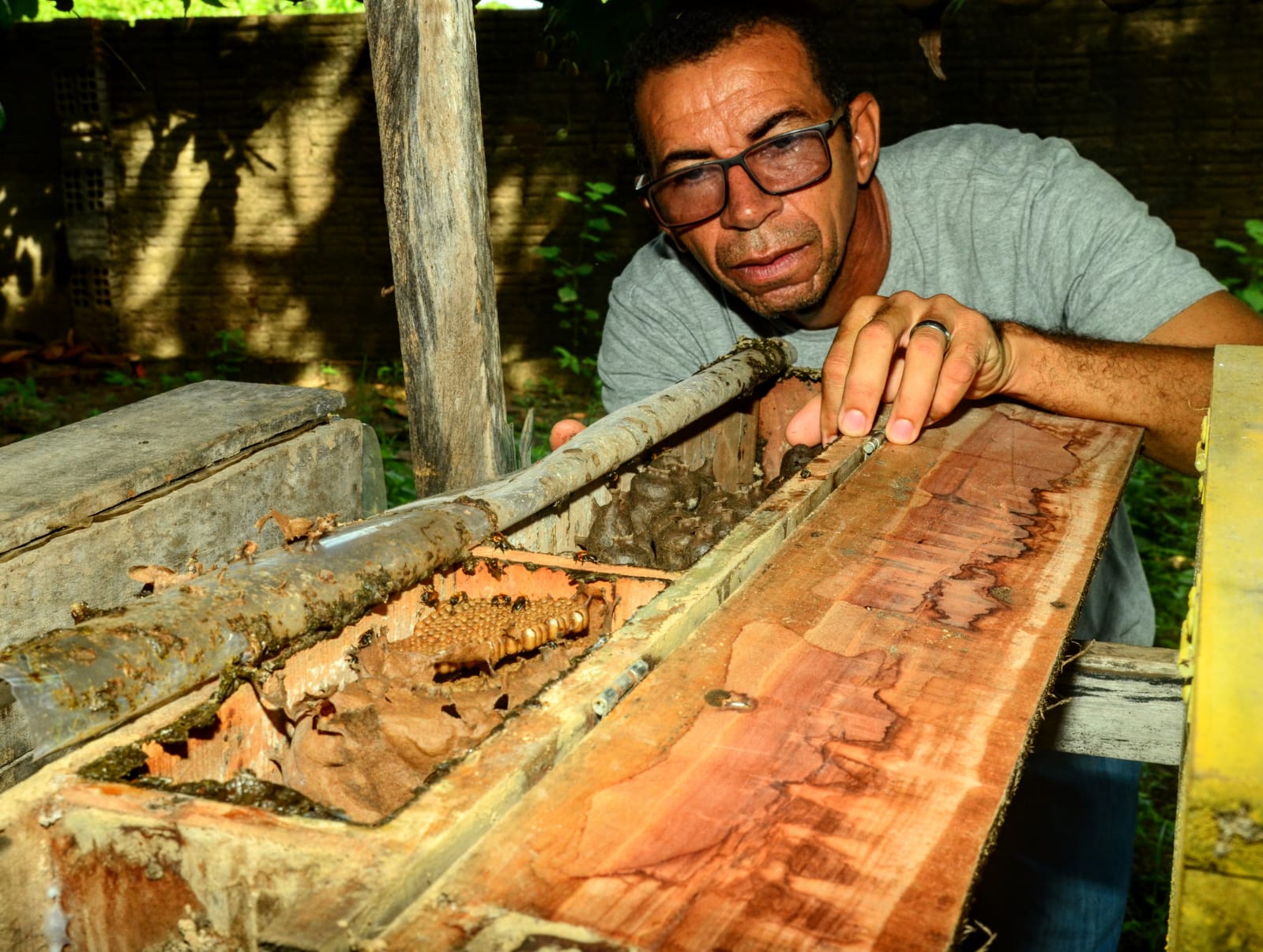 Apicultores do Assentamento Jurema participam de assistência técnica do “Mossoró Rural”