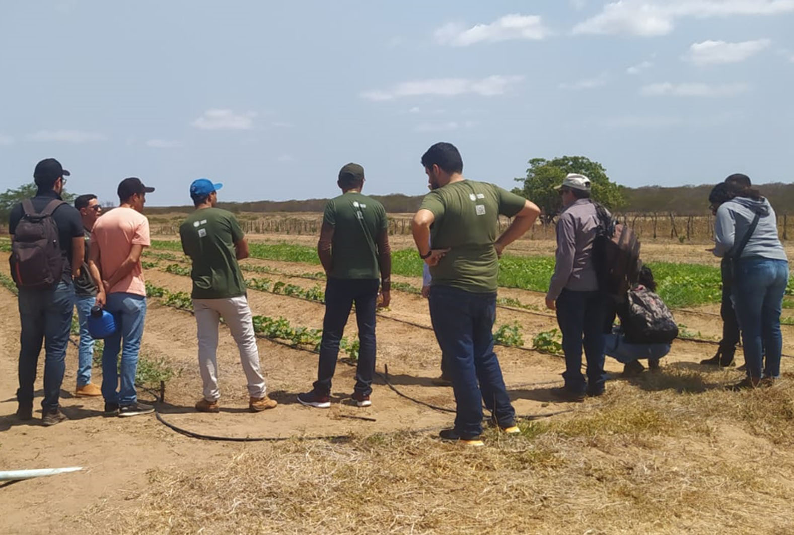 Curso de fruticultura: aula prática mostra condução de método de irrigação por gotejamento