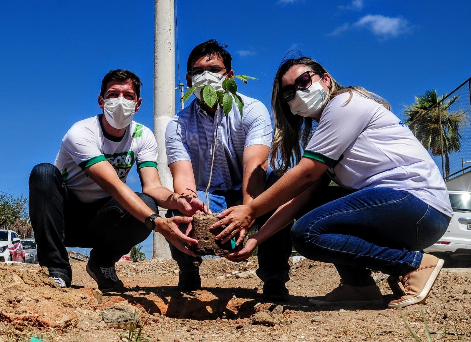 "Mossoró Verde": Prefeitura planta mudas em canteiros do bairro Barrocas