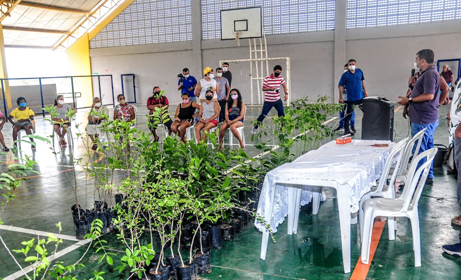 Programa "Mossoró Verde" distribui 200 mudas frutíferas na comunidade Hipólito