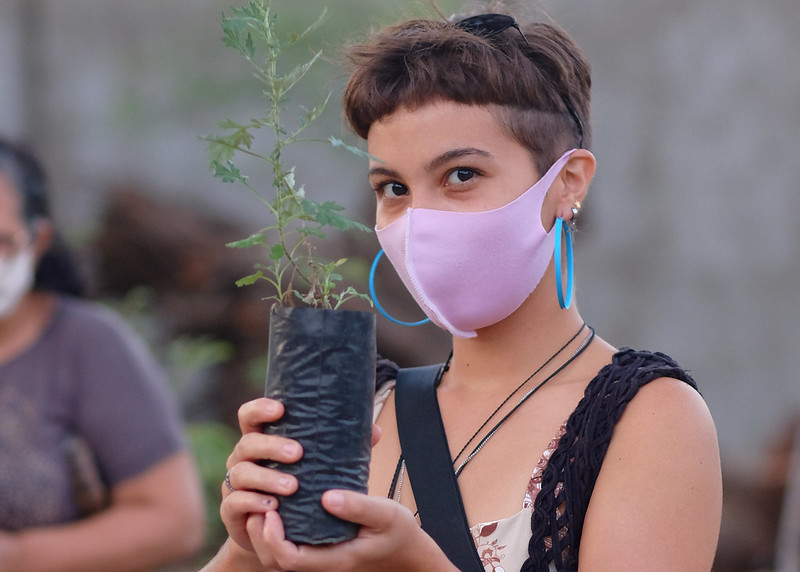 "Amigo Verde": ação incentiva à população no processo de arborização da cidade