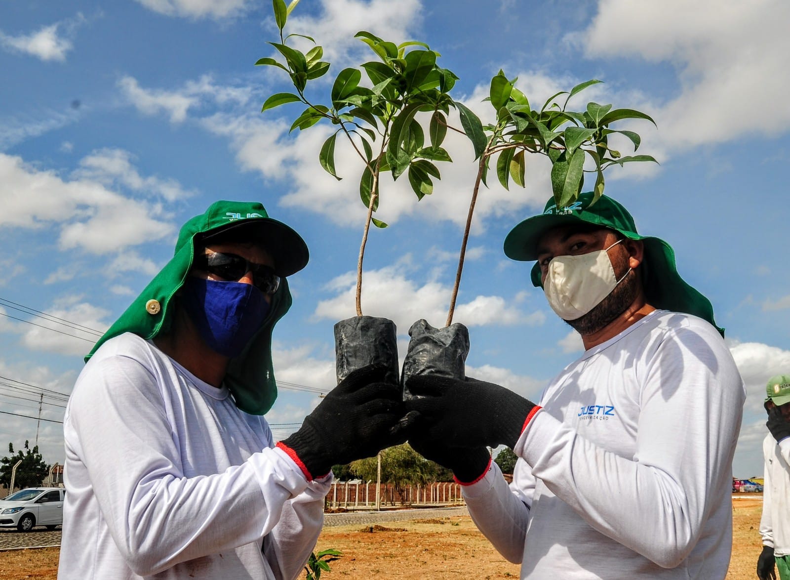 “Mossoró Verde”: Plantio de mudas acontecerá em canteiros da avenida João da Escóssia