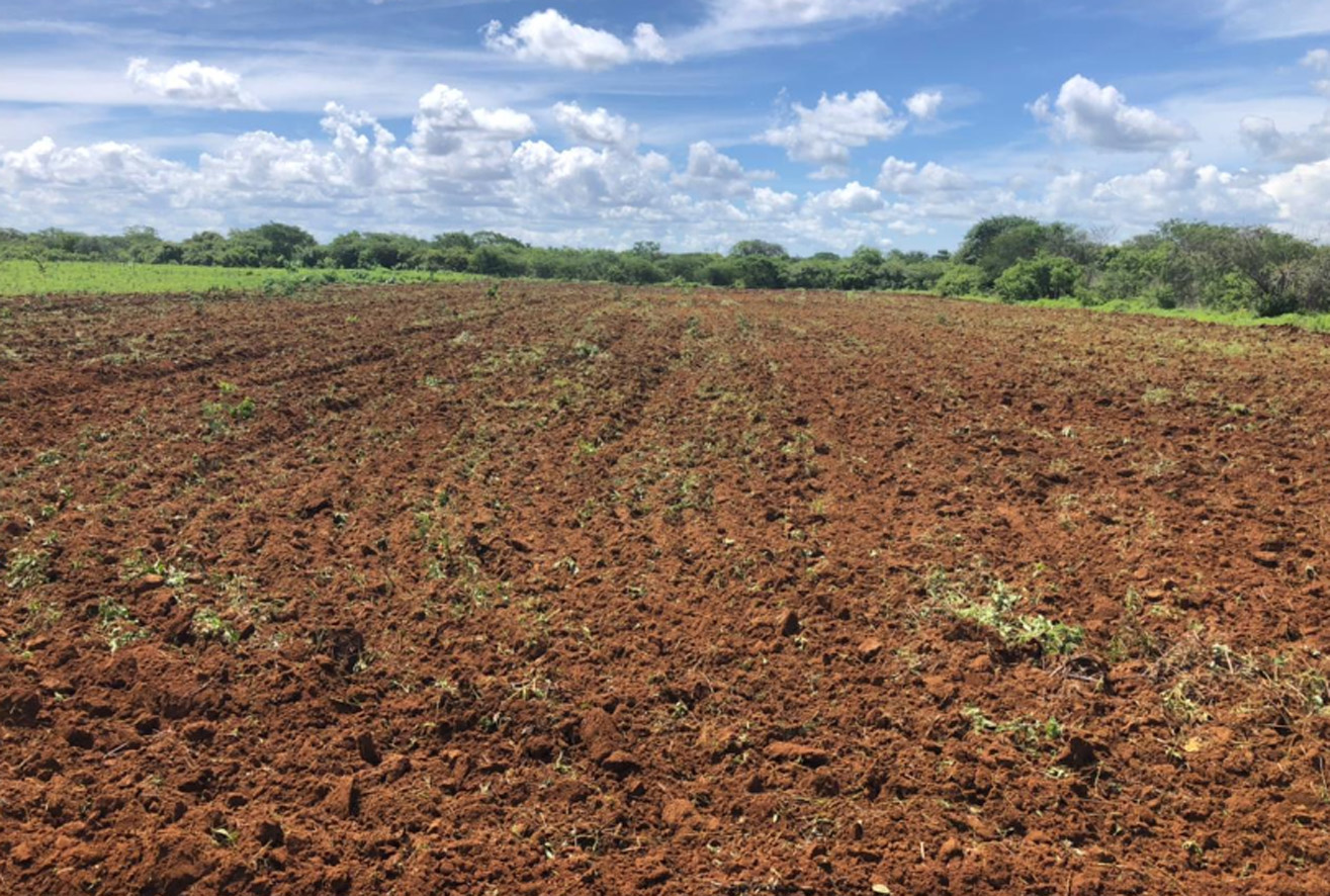 Agricultura disponibiliza trator e realiza corte de terra no Sítio São Joaquim