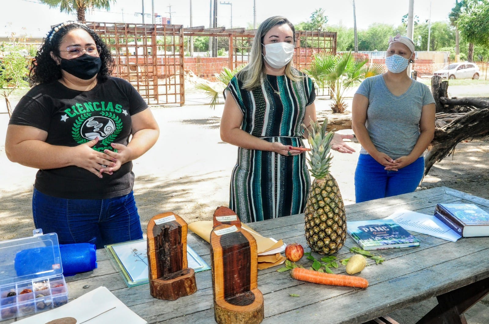 Botânica e plantas alimentícias são destaques em oficina ambiental