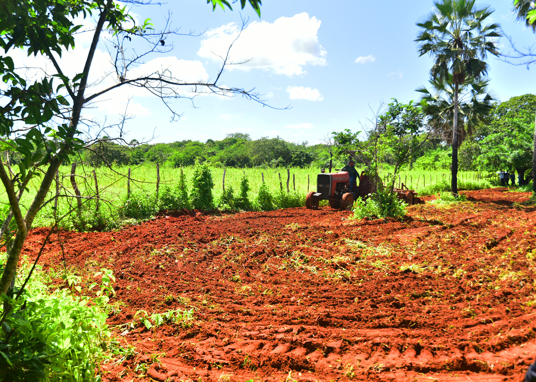 Prefeitura de Mossoró inicia inscrições do Programa Semear 2024