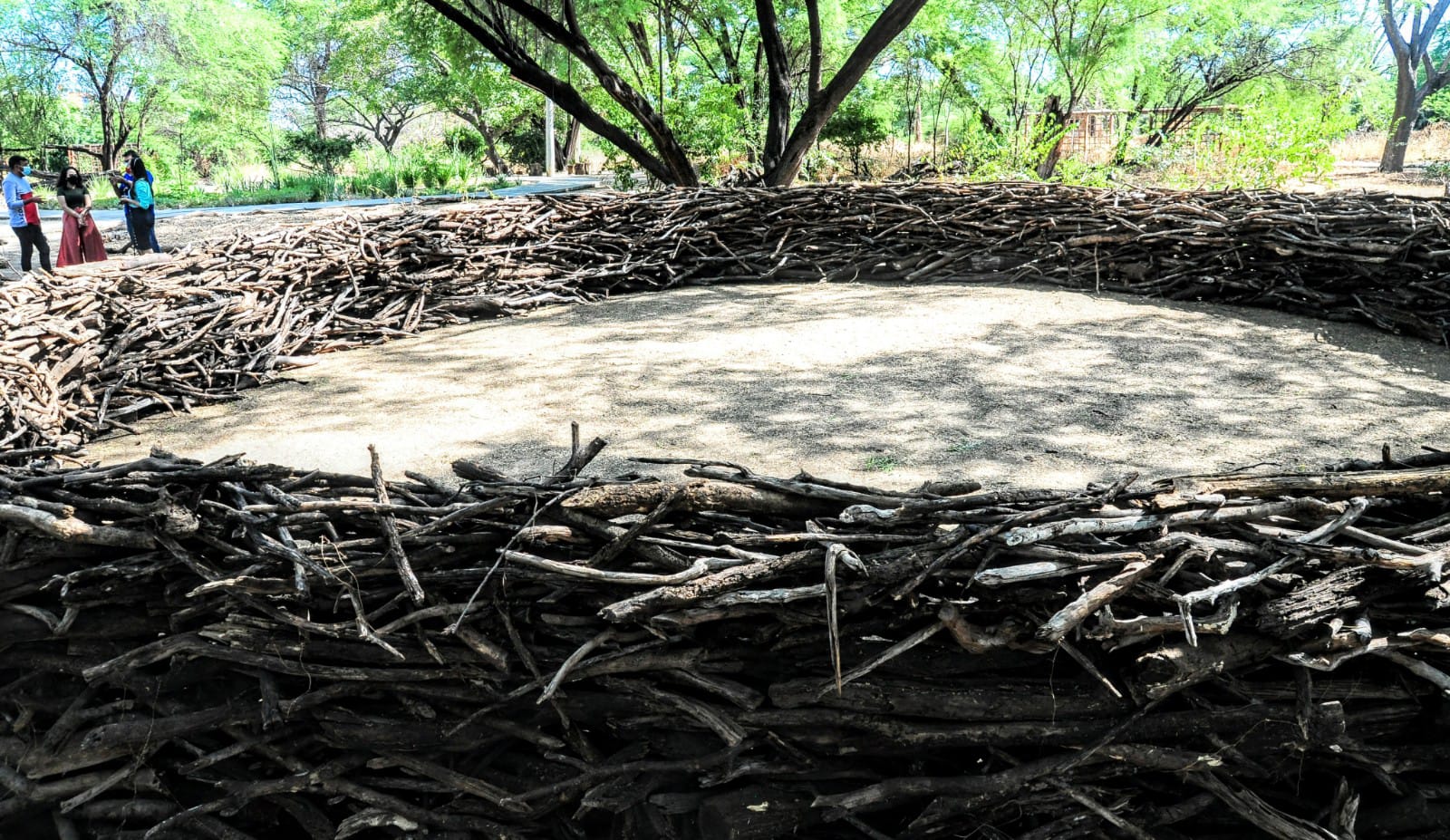 Parque Municipal oferta ao público diferentes espaços paisagísticos