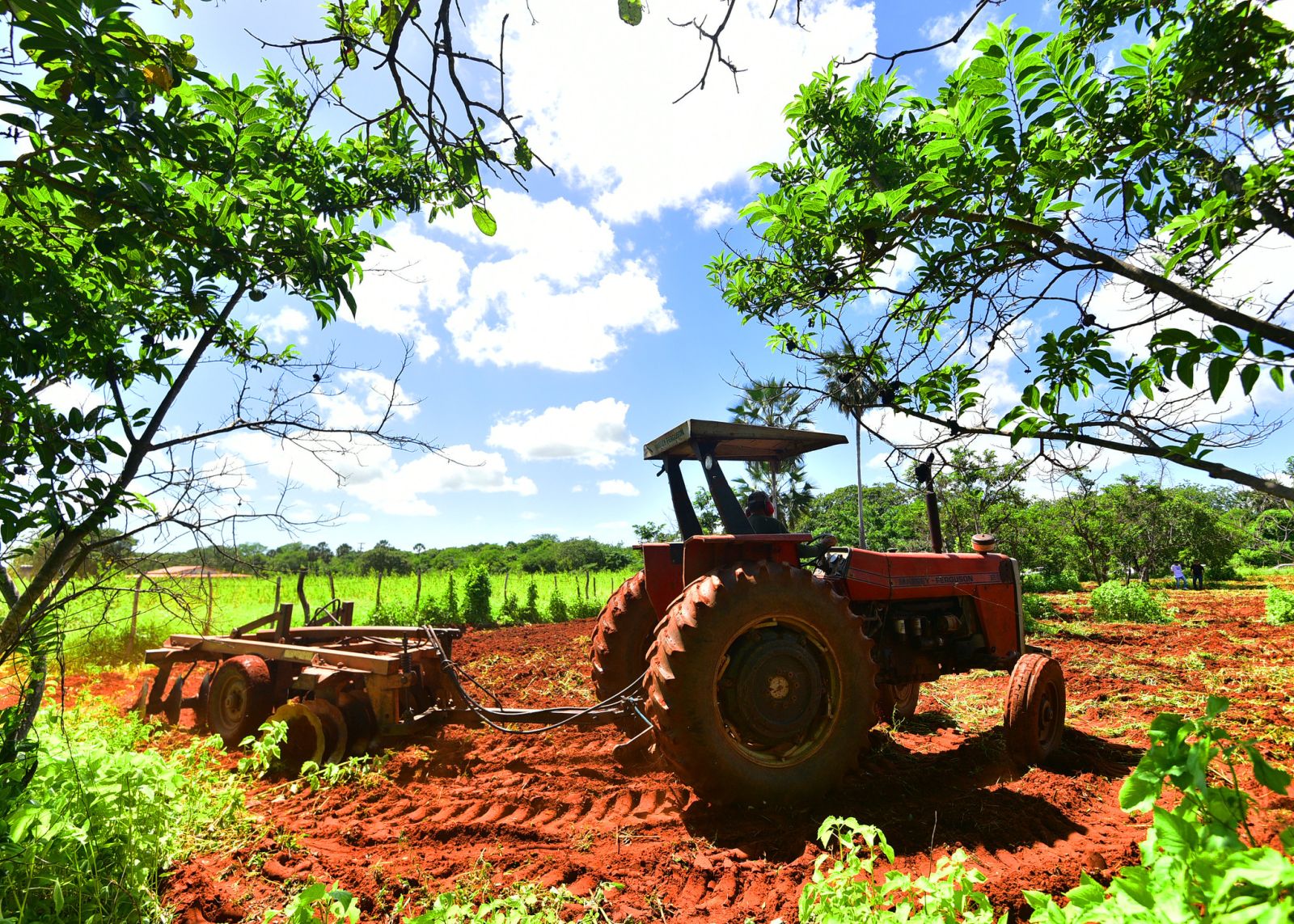 Prazo de entrega da ordem de óleo diesel para corte de terra se encerra nesta terça-feira