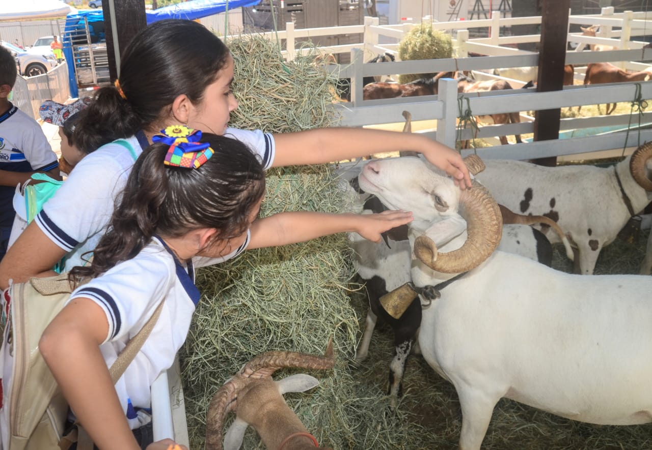 Alunos da zona rural participam de aula de campo na Festa do Bode