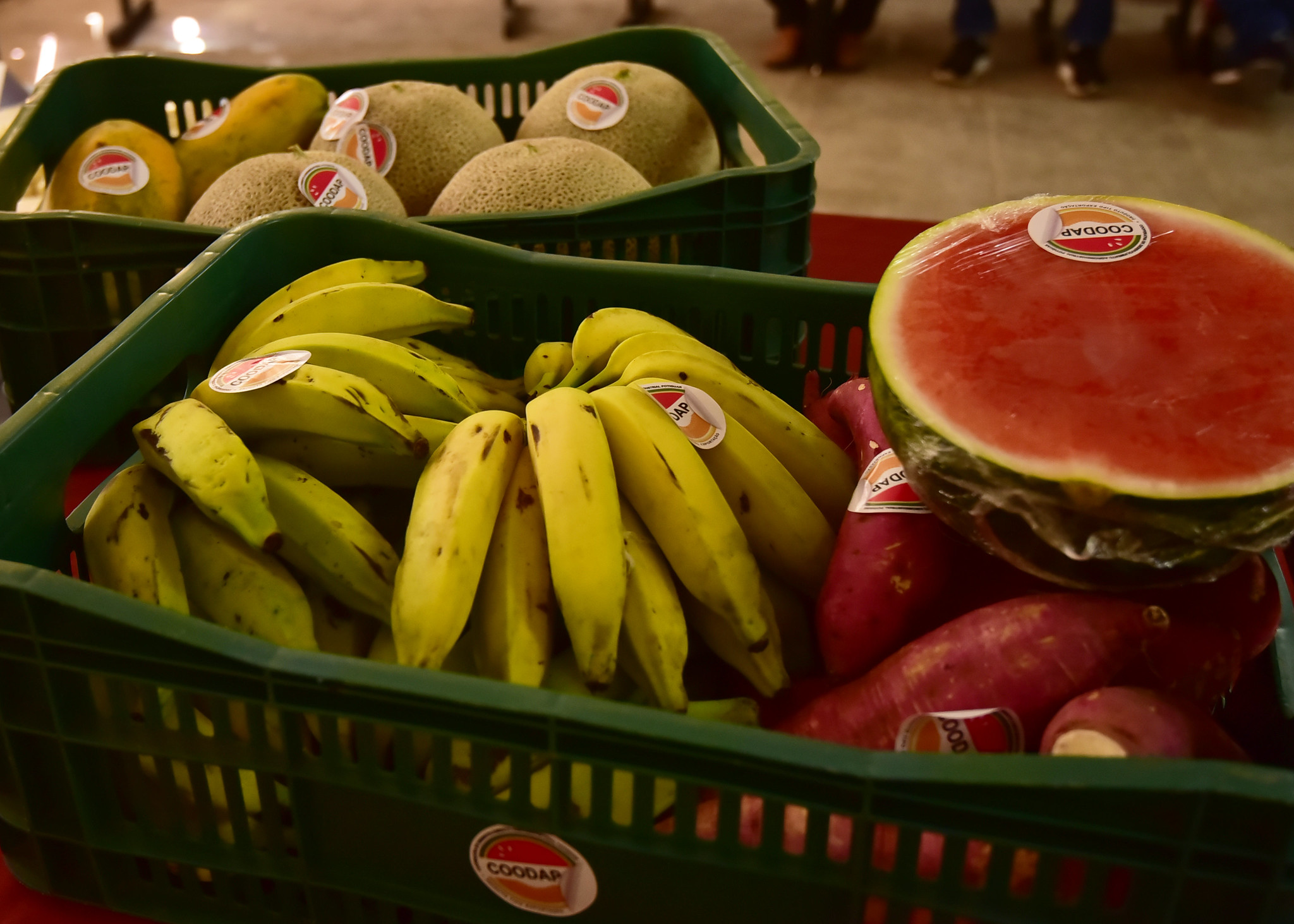 Prefeitura realizará I Conferência Municipal de Segurança Social e Nutricional