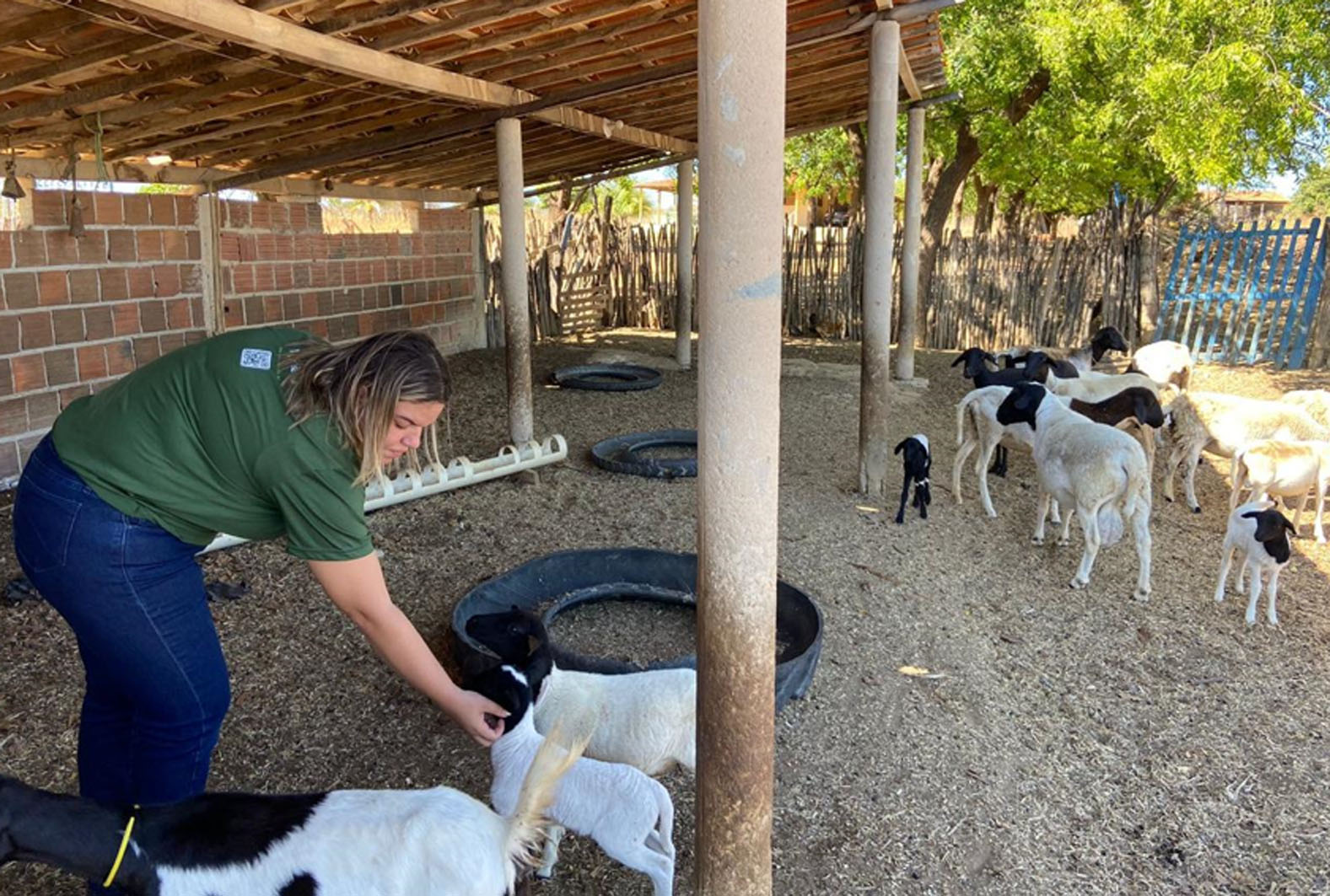 Consultorias atendem mais de 120 agricultores de cinco cadeias produtivas