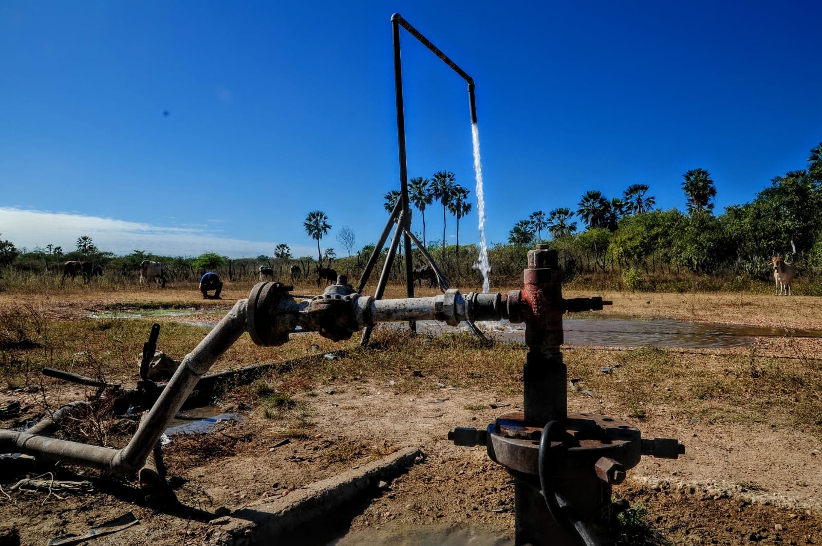 Secretaria de Agricultura divulga balanço de serviços realizados em poços e dessalinizadores