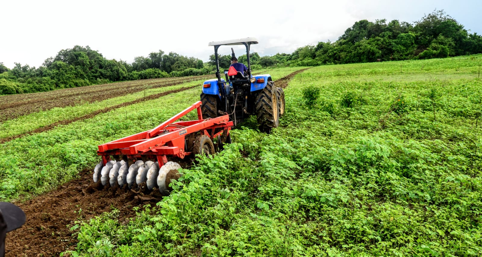 Programa Semear: Secretaria de Agricultura libera mais de 50 mil litros de óleo diesel