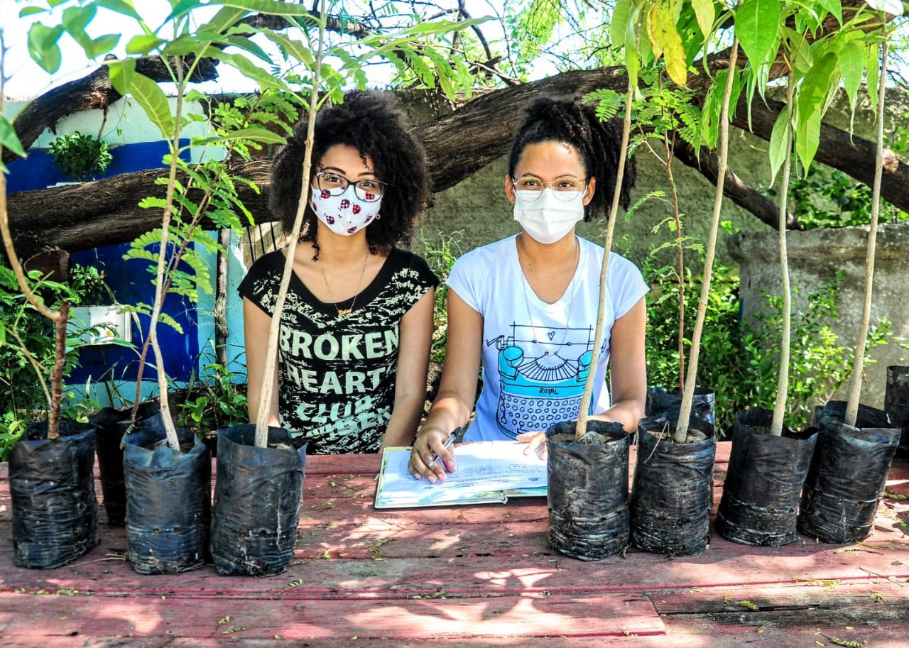 Mudas são distribuídas à população na Semana de Meio Ambiente