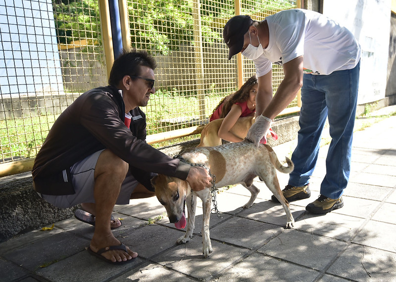 Campanha Antirrábica: confira os pontos de vacinação para esta sexta-feira em Mossoró