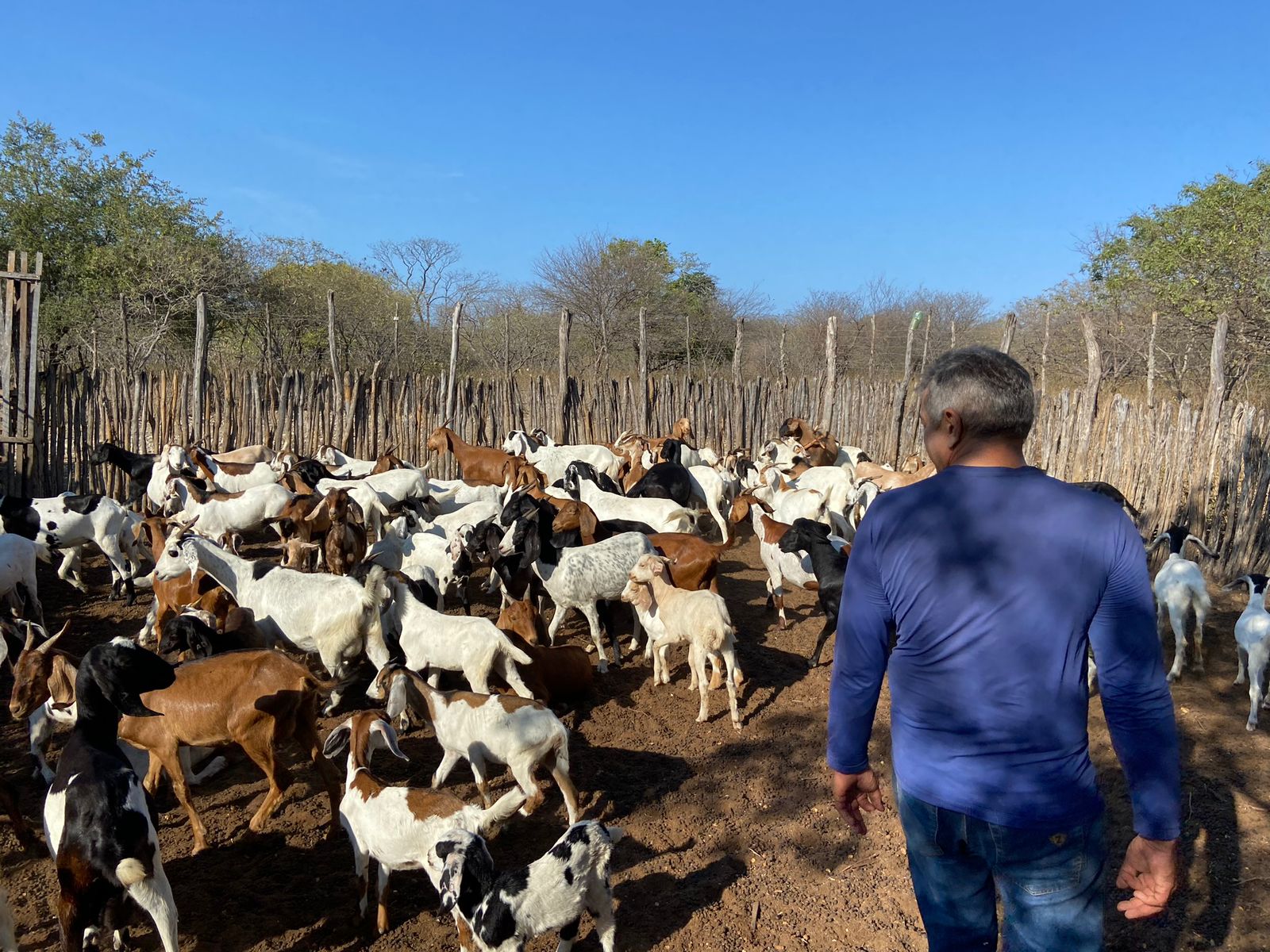 Consultoria atende a cinco cadeias produtivas em Mossoró