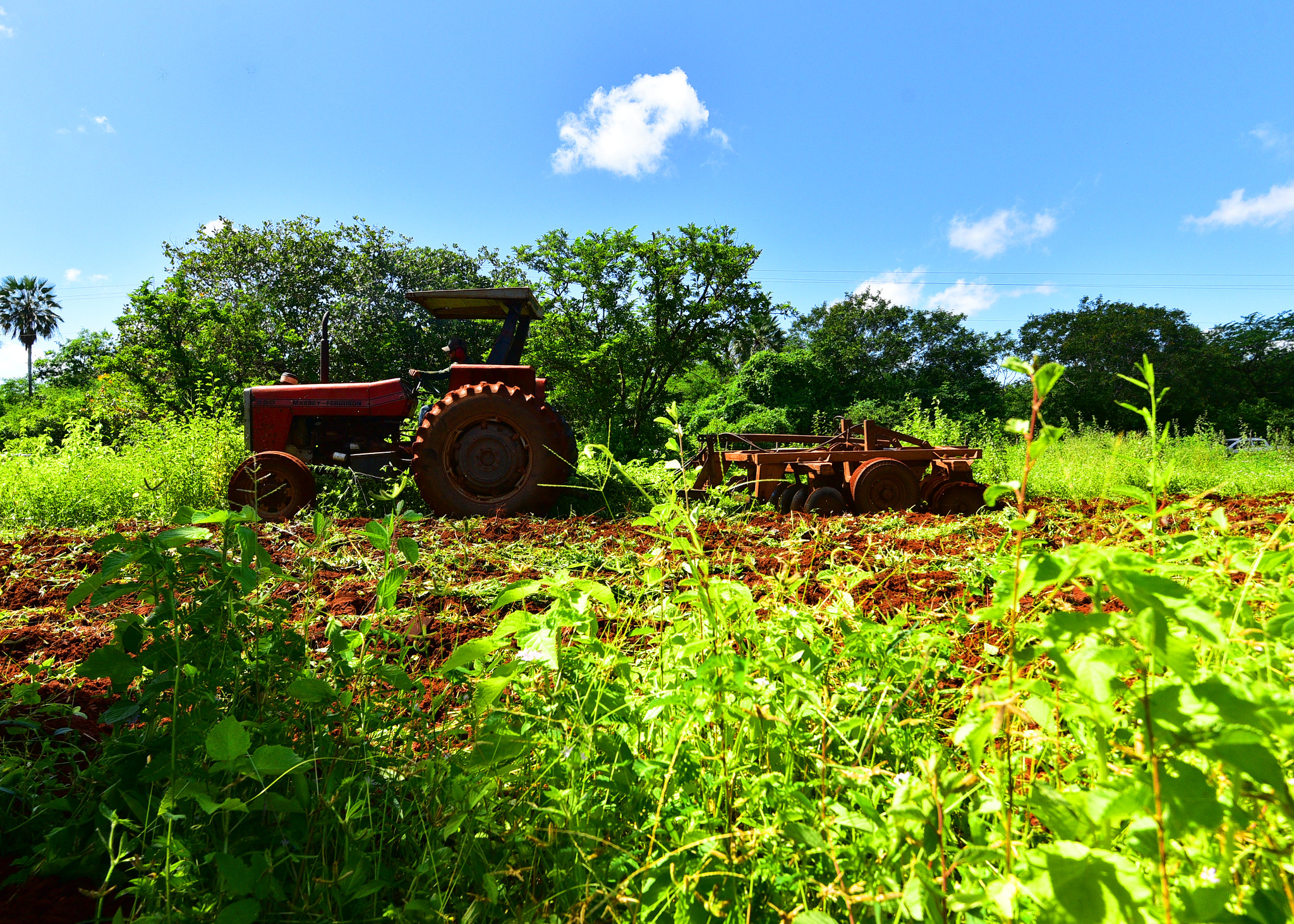 “Mossoró Rural”: sucesso da 1ª edição é base para implementação de lei municipal