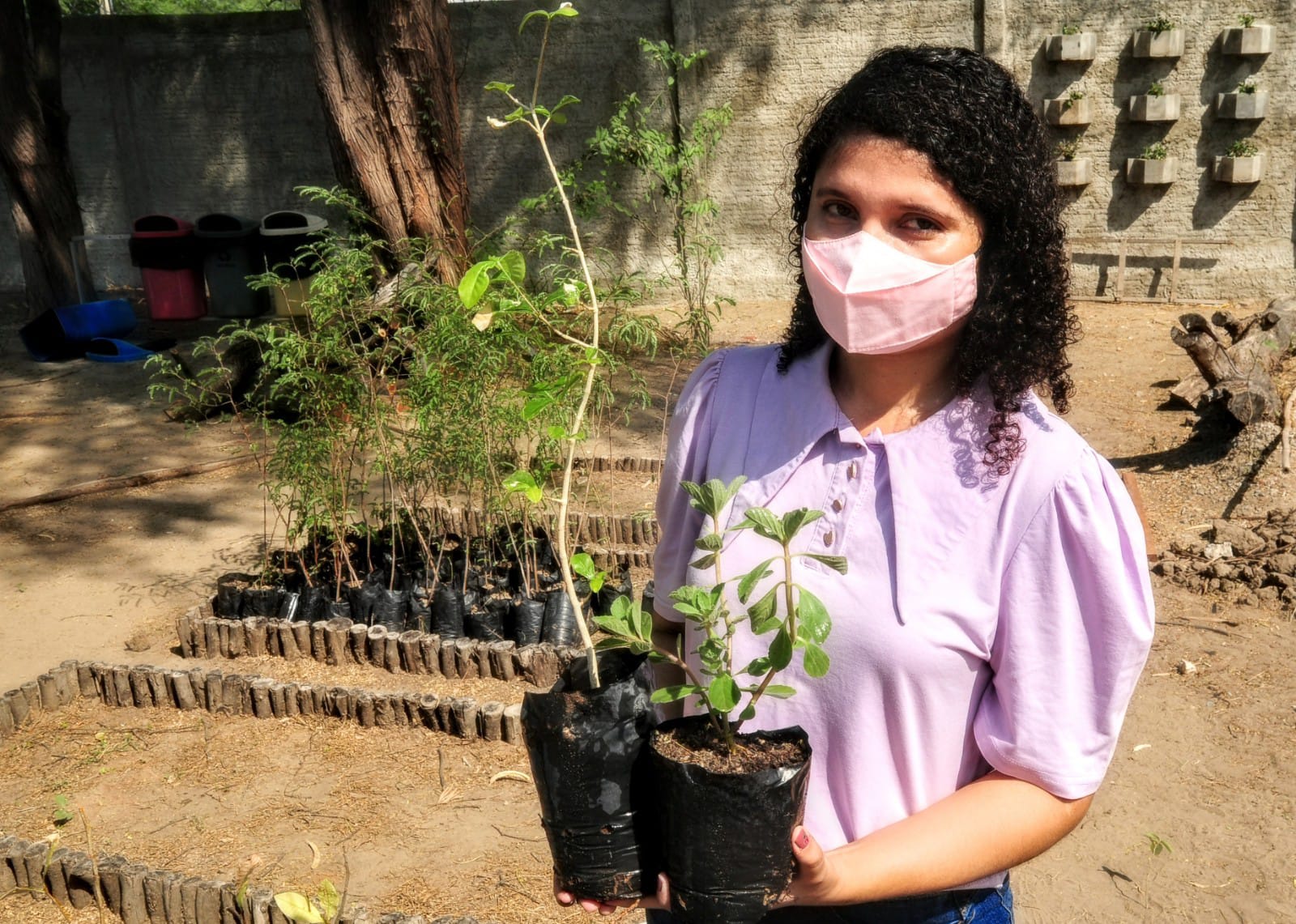 “Mossoró Verde”: Distribuição de mudas acontece às sextas-feiras e sábados