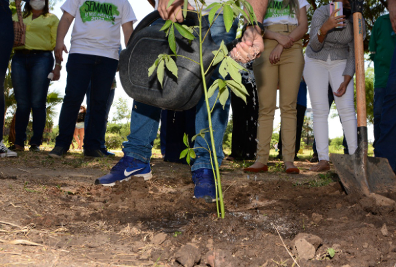 Semana do Meio Ambiente é encerrada com homenagem às vítimas da Covid-19