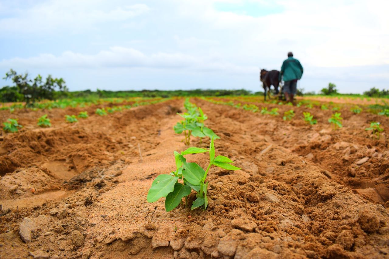 Prefeitura paga contrapartida do Garantia-Safra e beneficia 1.500 agricultores