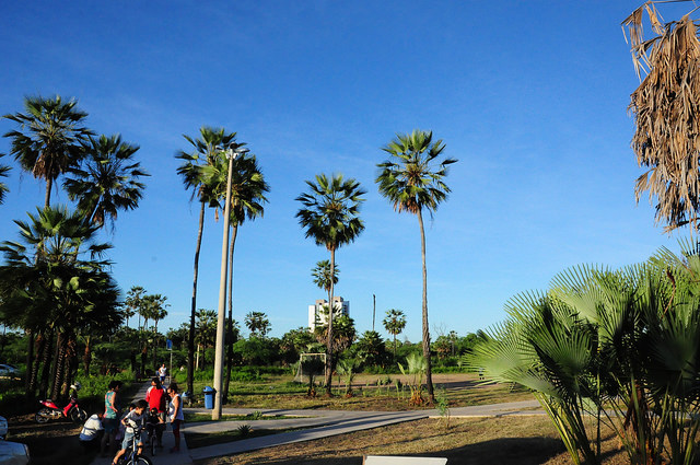 Prefeita assina ordem para licitação de estruturação do Parque Maurício de Oliveira