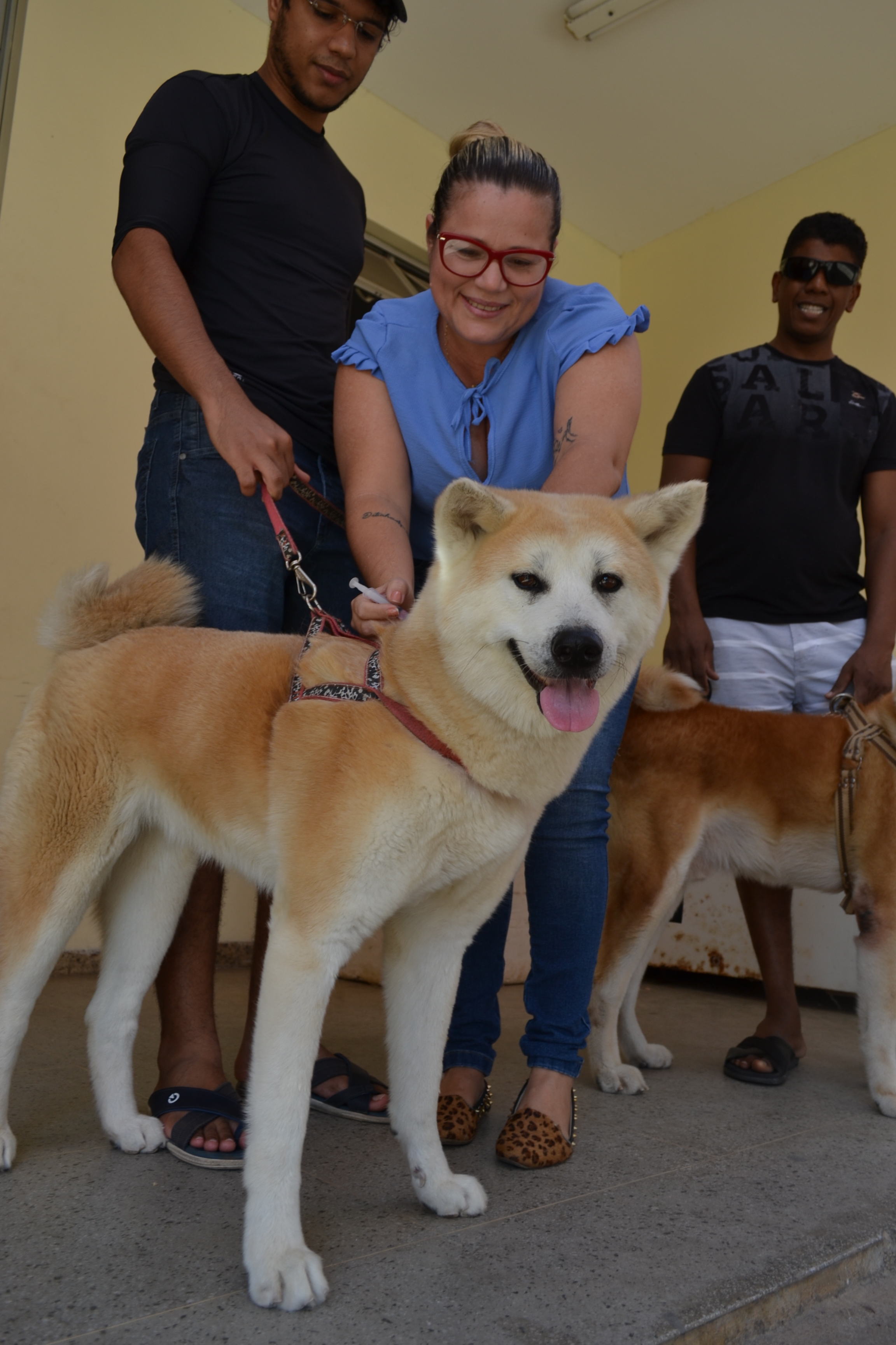 Mossoroenses podem vacinar cães e gatos contra raiva na Festa do Bode