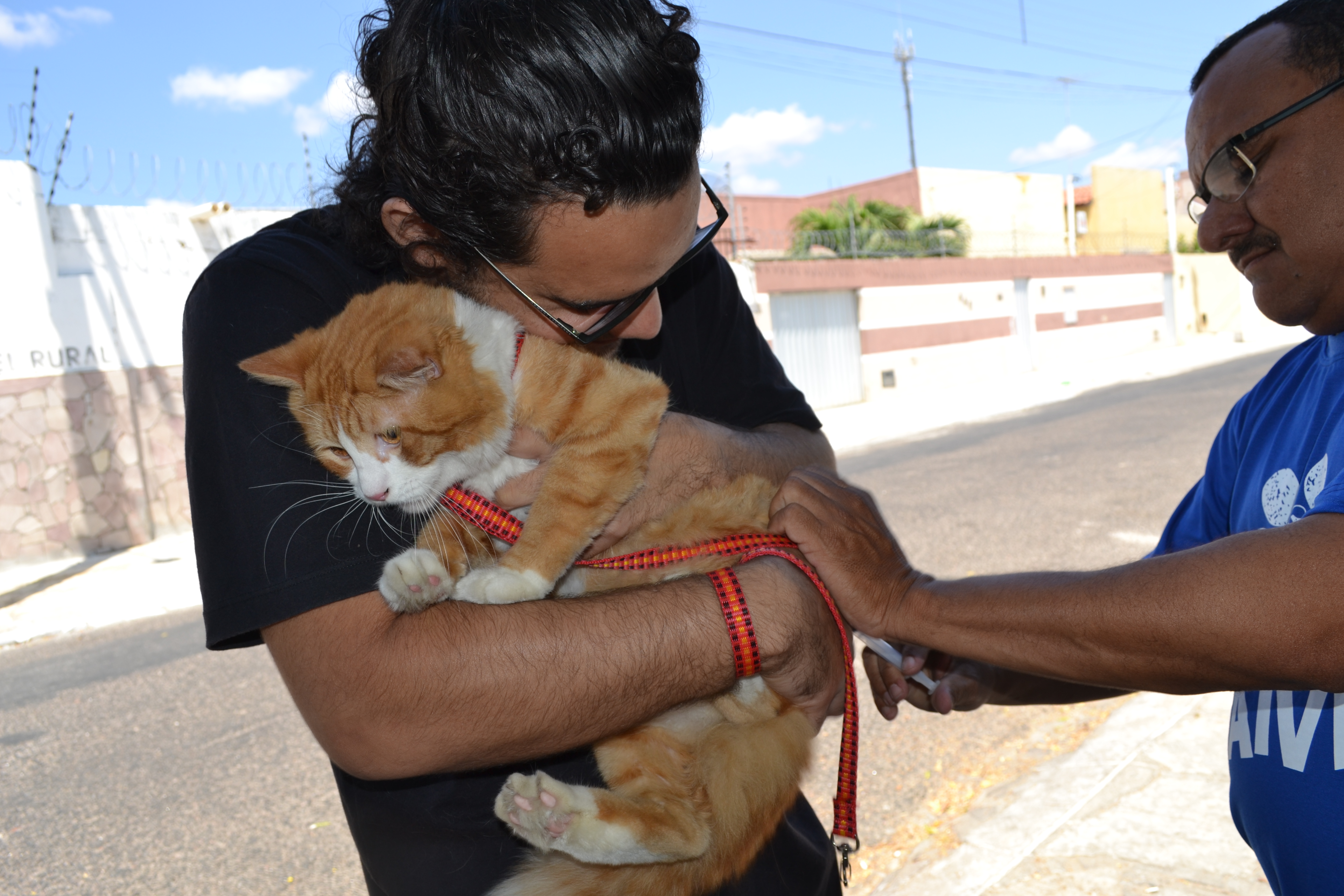 Secretaria de Saúde supera meta de cobertura vacinal contra raiva em cães e gatos