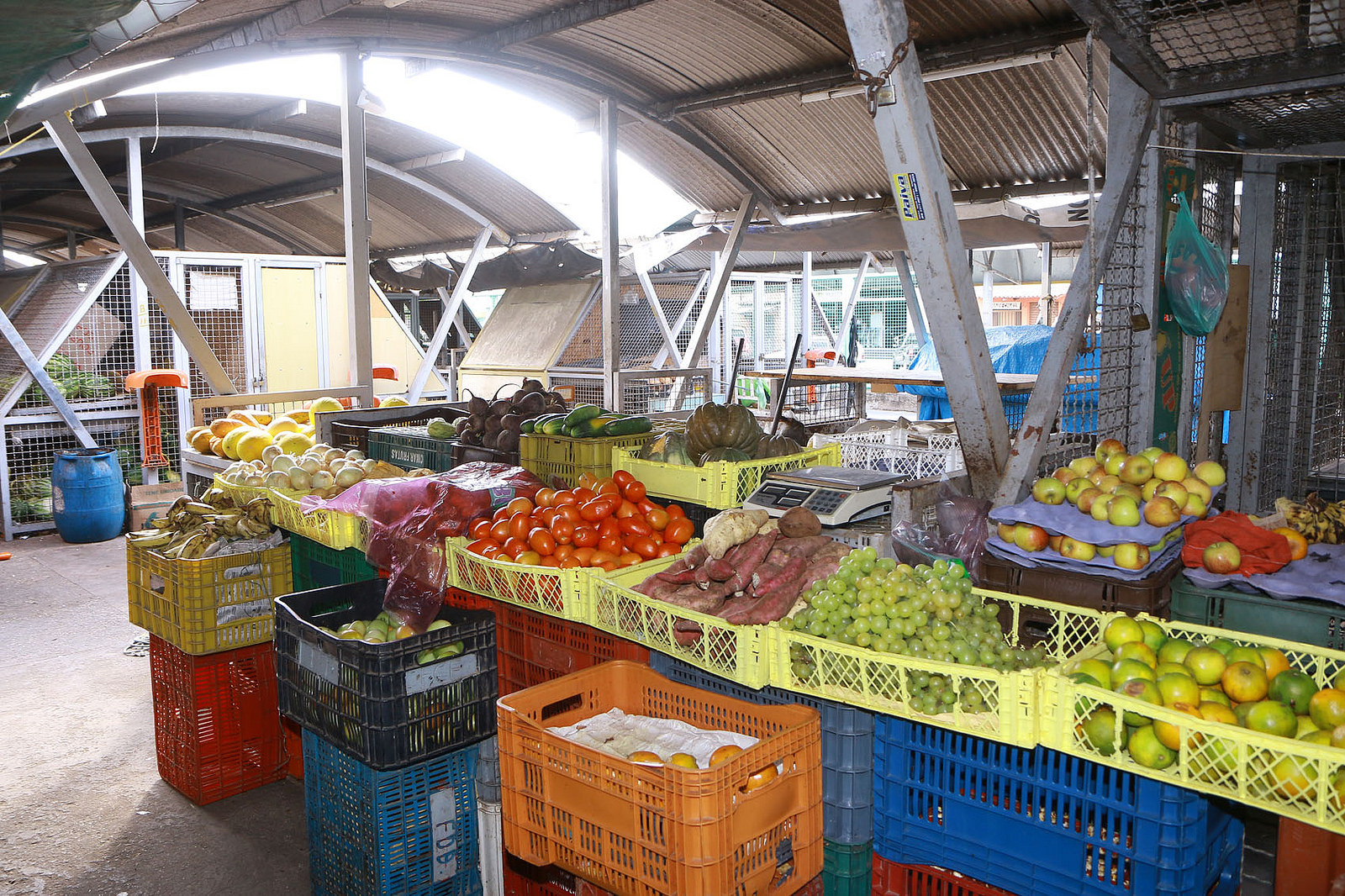 Saúde celebra Dia Mundial da Alimentação com atividades nutricionais para a população