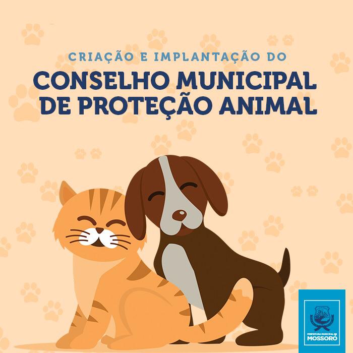 Prefeita sanciona lei que autoriza criação e implantação do Conselho Municipal de Proteção Anima