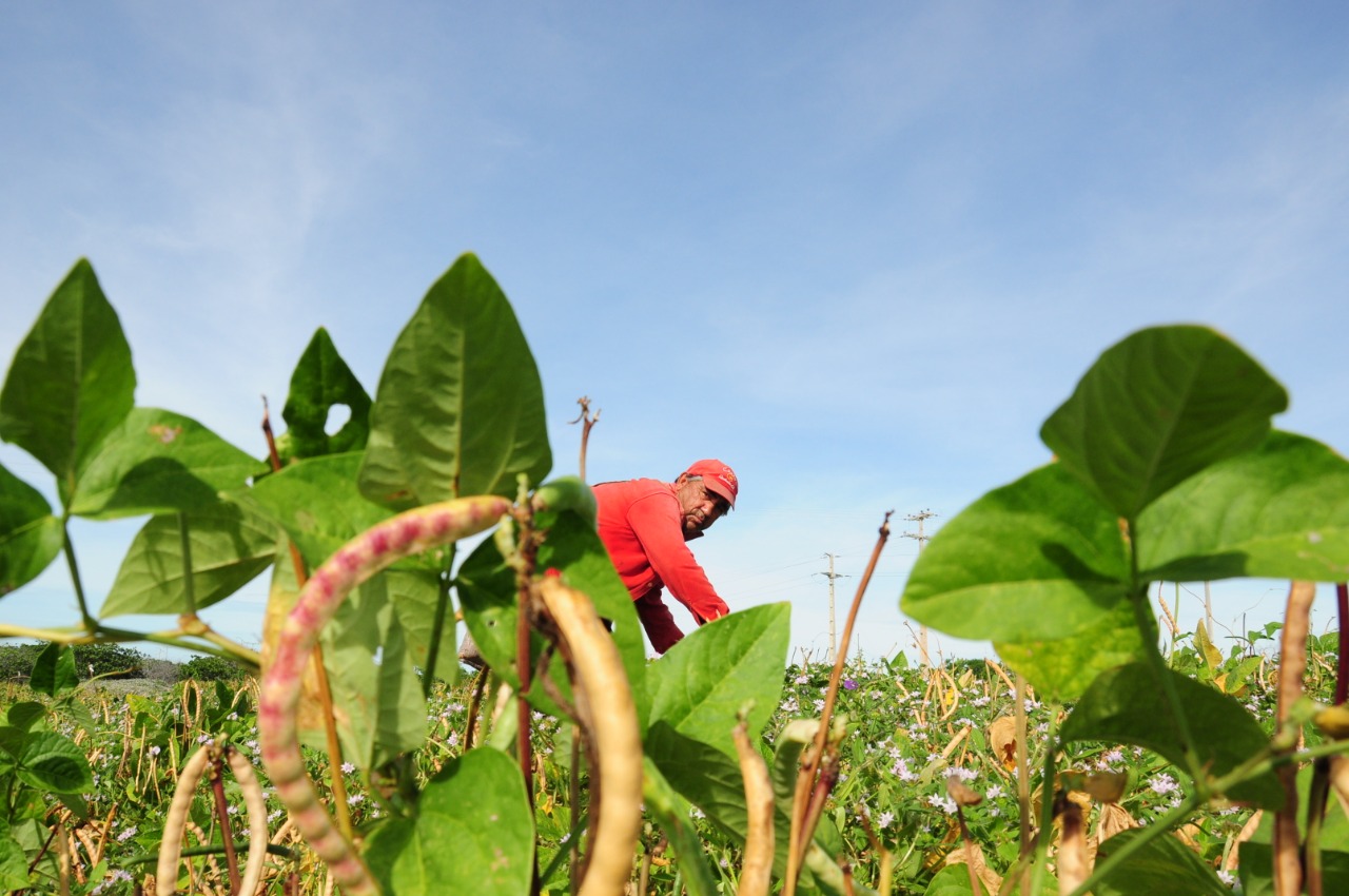 Prefeita sanciona lei que institui Semana Municipal do Agricultor em Mossoró