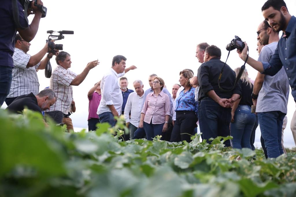 Prefeita acompanha visita da Ministra da Agricultura à produção de melão